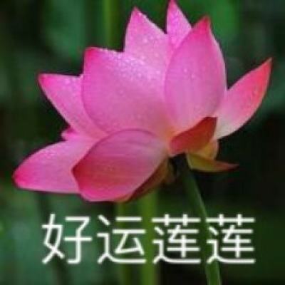 新华全媒+｜湖北咸宁：以“汛”为令 多方联动应对暴雨袭击